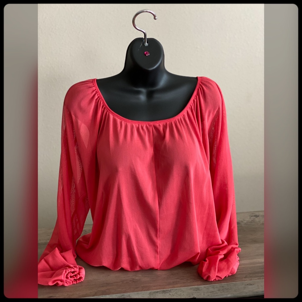 Sheer Long Sleeve Ladies Top Size Large🛒